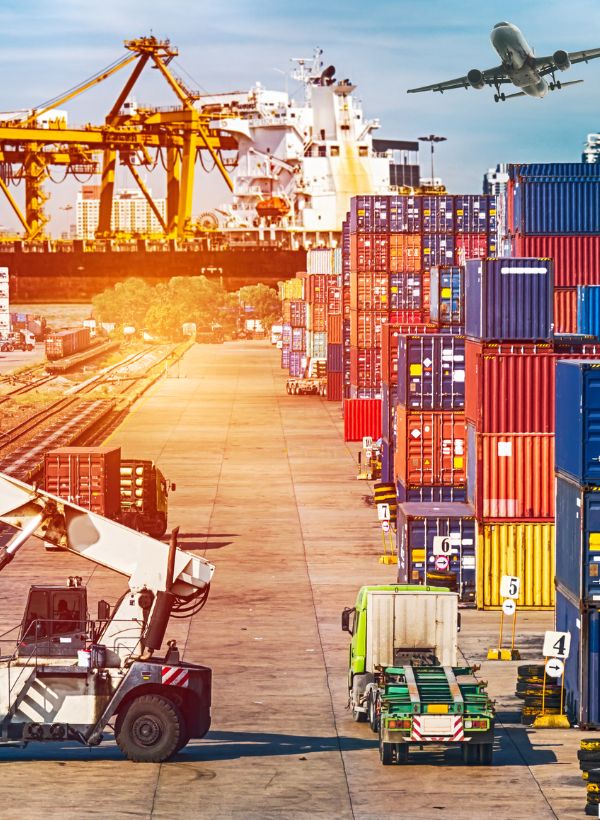 packers and movers in Koraput